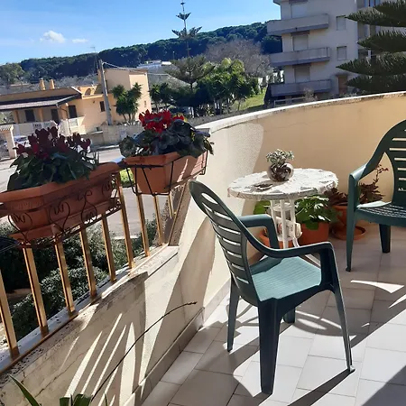 Moonaurora غالّيبولي